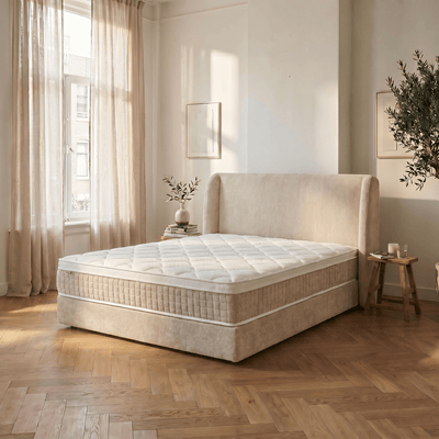 Elegance - Faume
