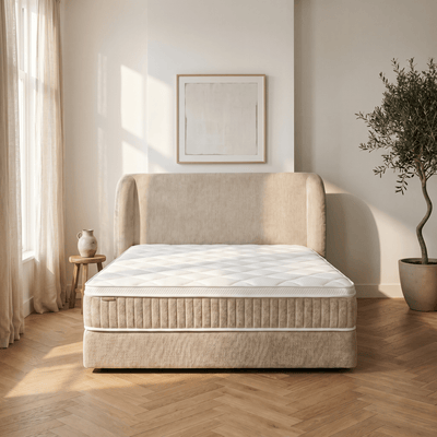 Elegance - Faume